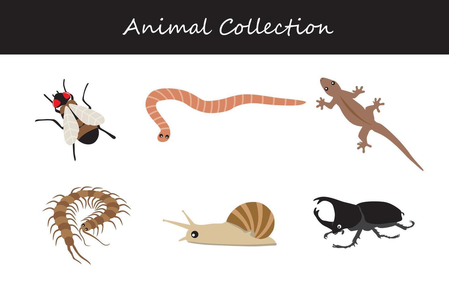 animais coleção. plano estilo ilustração. vetor