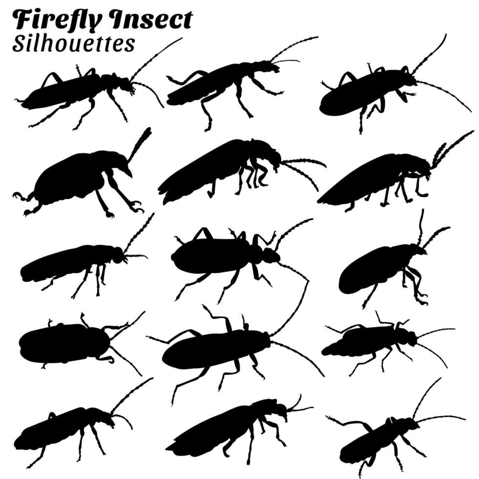 conjunto do vaga-lume inseto silhueta ilustrações vetor