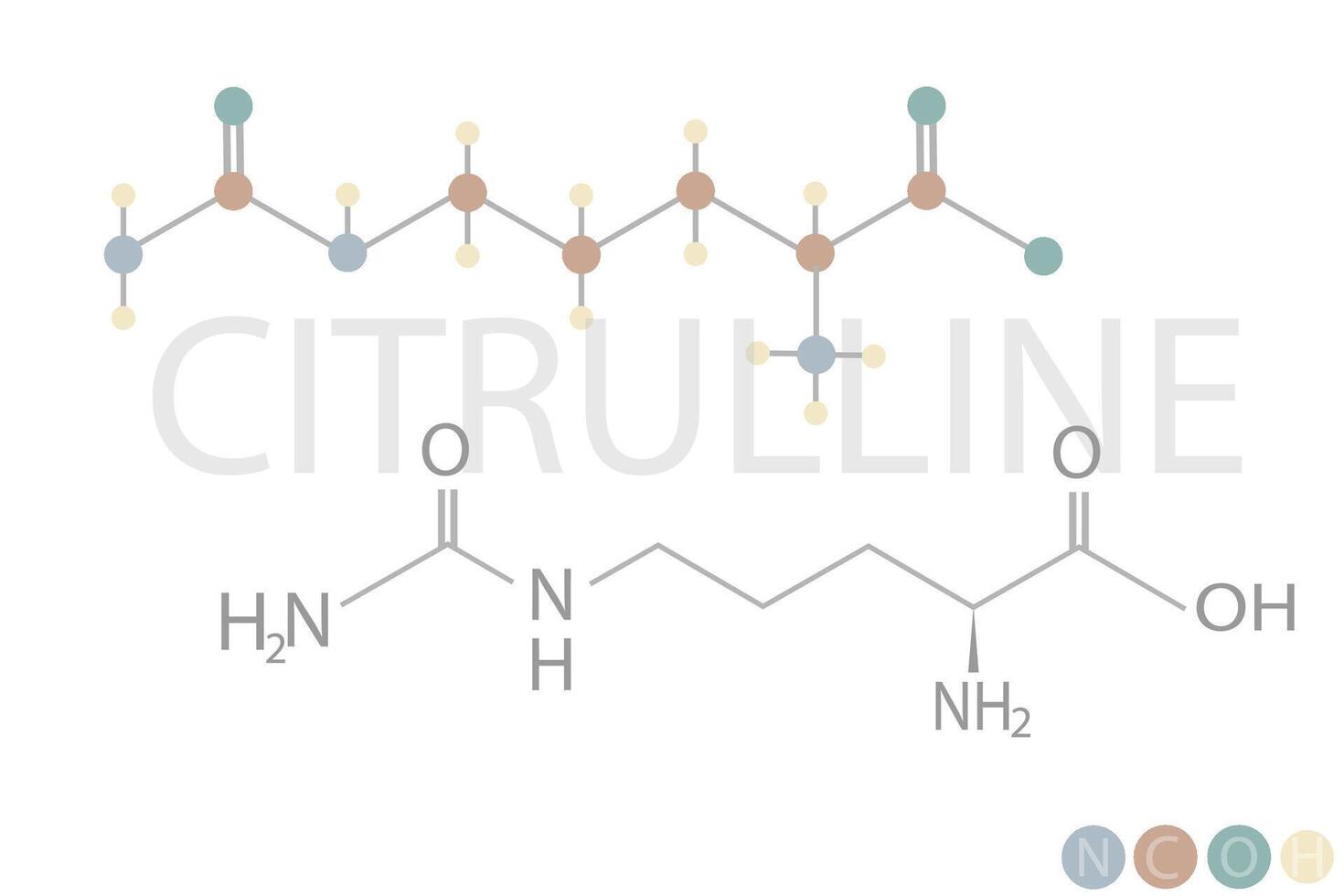 citrulina molecular esquelético químico Fórmula vetor