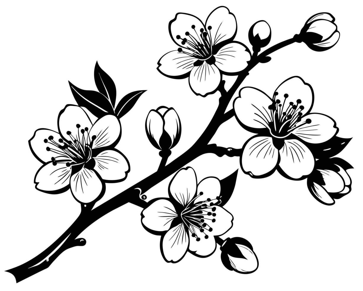 mão desenhado flores em uma branco fundo vetor
