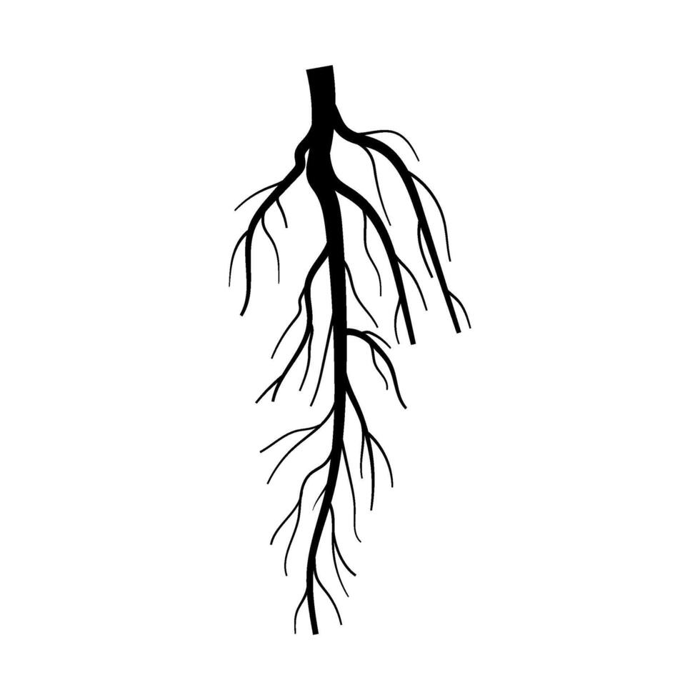 sistema árvore raiz desenho animado ilustração vetor