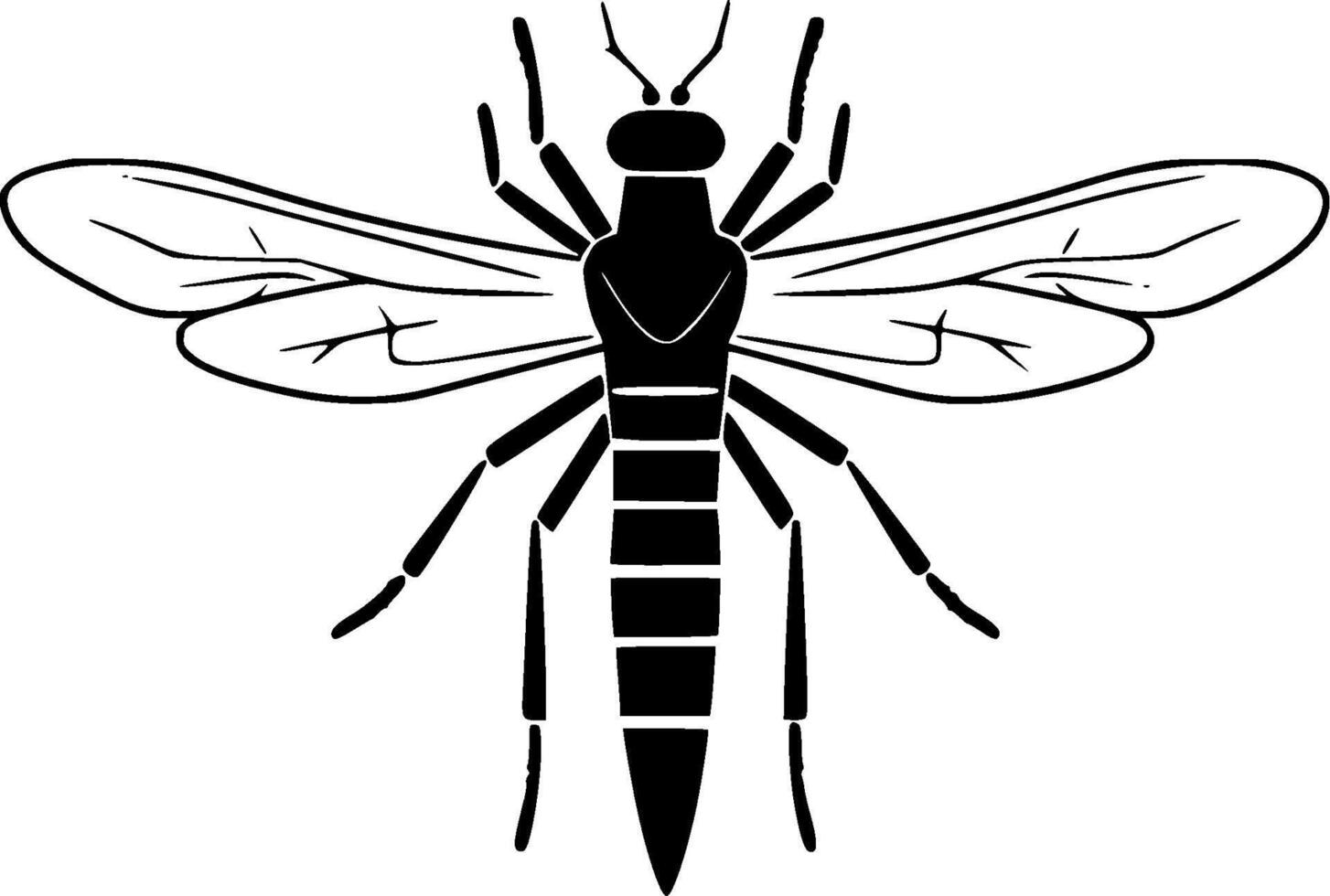 mosquito, Preto e branco ilustração vetor