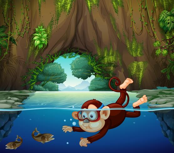Um macaco mergulhando no rio vetor