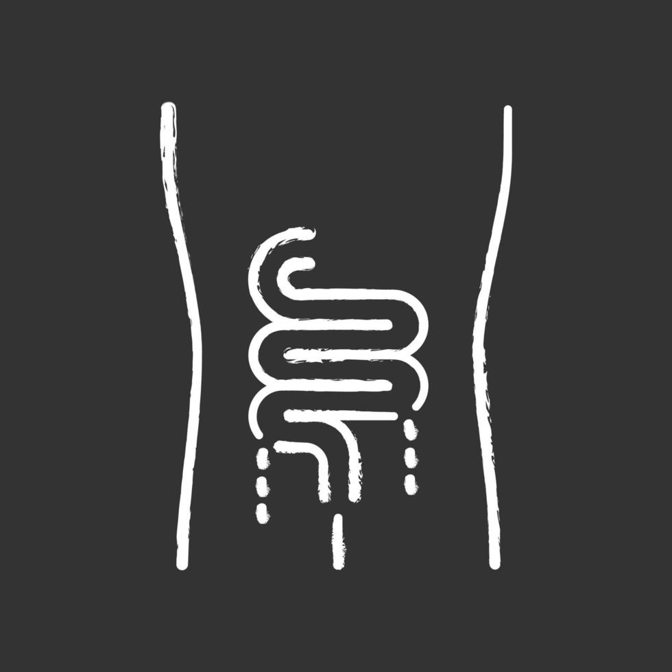 Ícone de giz do intestino doente. ferido órgão humano. doença de pessoas. sistema digestivo insalubre. parte interna do corpo doente. trato gastrointestinal. ilustração vetorial isolado quadro-negro vetor