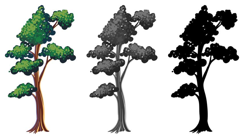 Conjunto de design de árvore diferente vetor