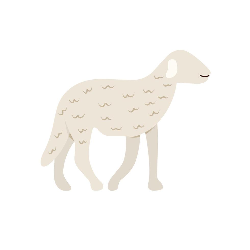 plano ilustração do sem rosto ovelha vetor