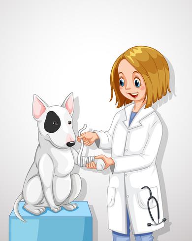 Médico veterinário ajudando um cão vetor