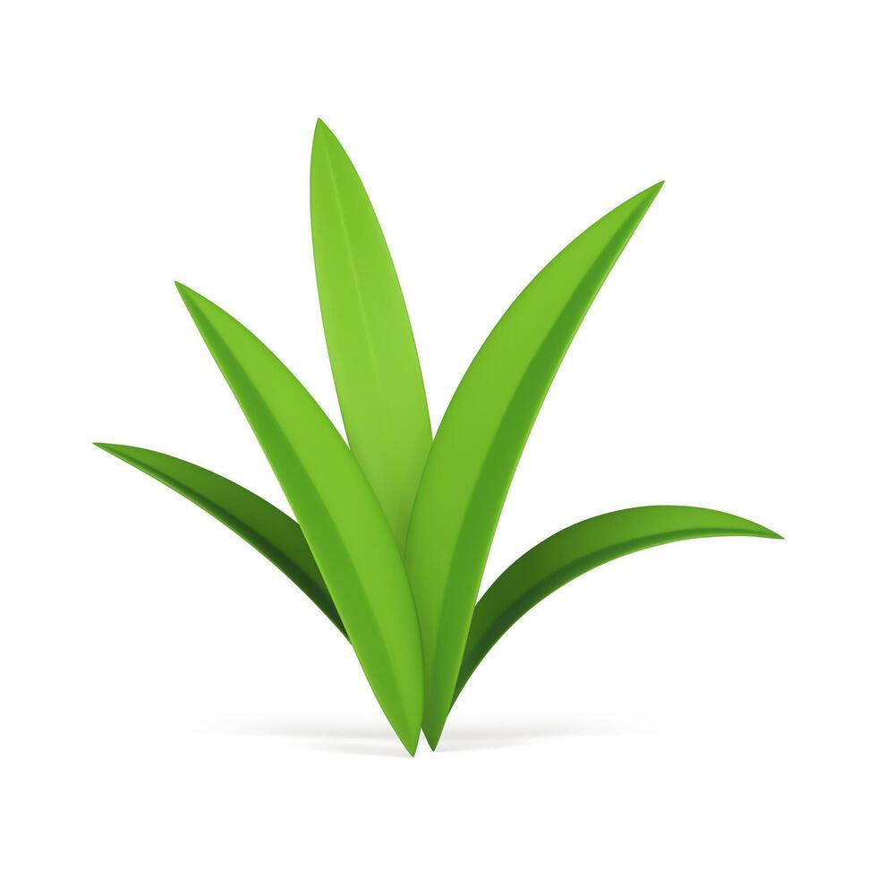 exuberante verde Relva bio ecologia meio Ambiente orgânico botânico Flor 3d ícone realista vetor