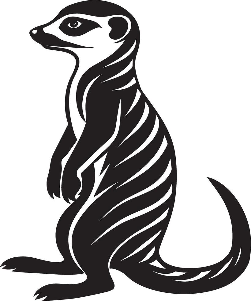 meerkat - ilustração. isolado em branco fundo. vetor