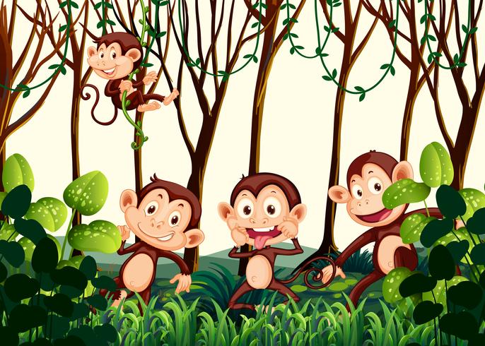 Macaco morando na selva vetor