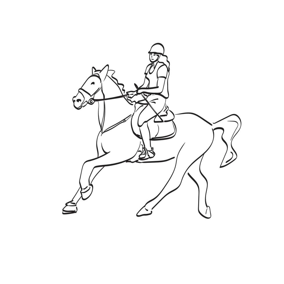 linha arte cavaleiro feminino adestramento em vetor de ilustração de cavalo baio isolado no fundo branco