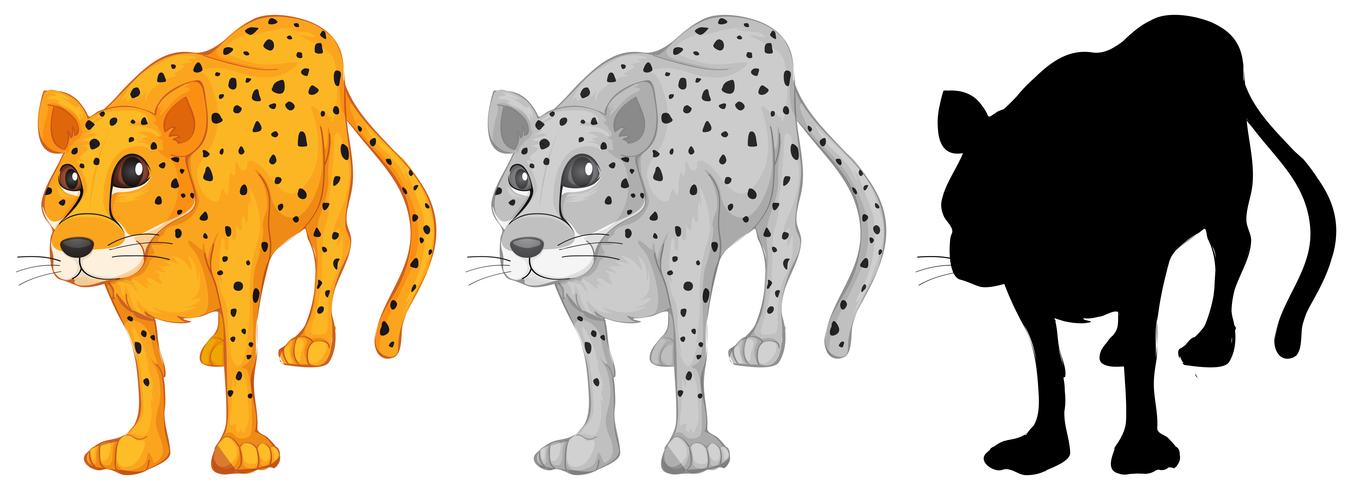 Conjunto de caracteres de leopardo vetor