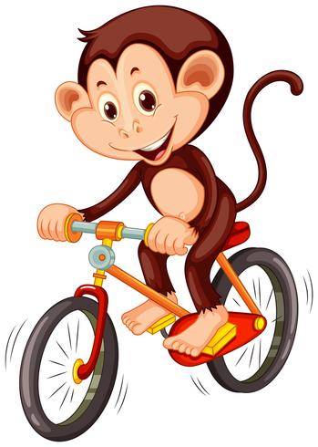 Macaquinho andando de bicicleta vetor