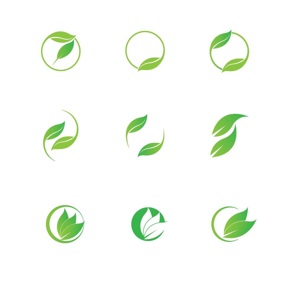 logotipos do ícone de vetor de elemento de natureza de ecologia de folha verde