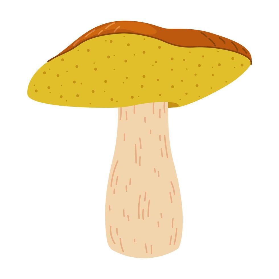 Suillus cogumelo. comestível fungo. mão desenhado na moda plano estilo isolado em branco fundo. outono floresta colheita, saudável orgânico comida, vegetariano Comida. vetor