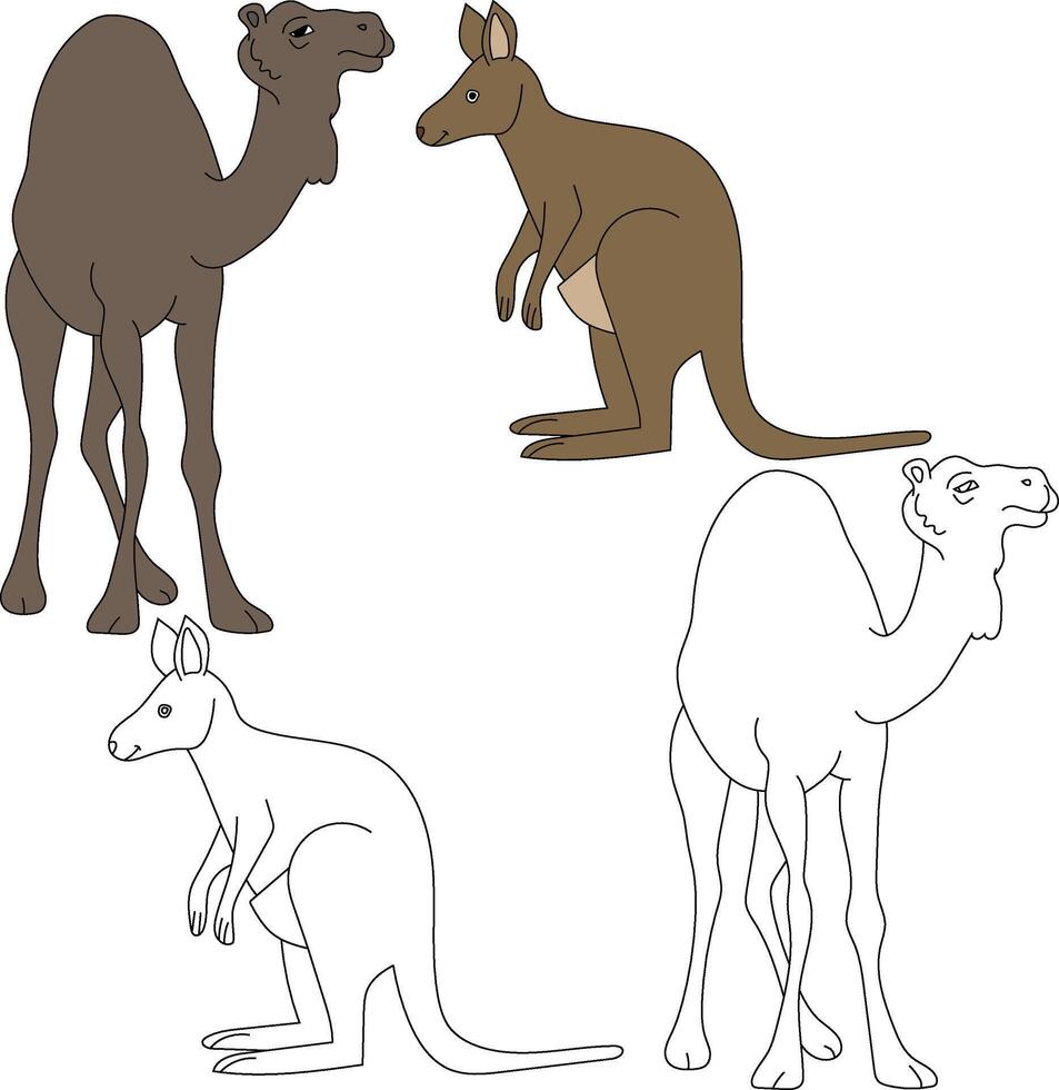 camelo e canguru clipart. selvagem animais clipart coleção para amantes do selvas e animais selvagens. isto conjunto vai estar uma perfeito Adição para seu safári e com tema zoológico projetos vetor