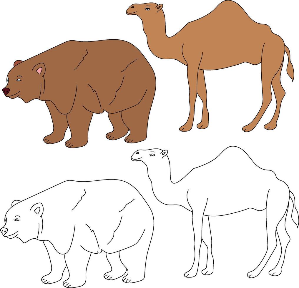 camelo e Urso clipart. selvagem animais clipart coleção para amantes do selvas e animais selvagens. isto conjunto vai estar uma perfeito Adição para seu safári e com tema zoológico projetos vetor