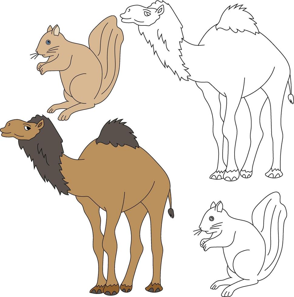 camelo e esquilo clipart. selvagem animais clipart coleção para amantes do selvas e animais selvagens. isto conjunto vai estar uma perfeito Adição para seu safári e com tema zoológico projetos vetor