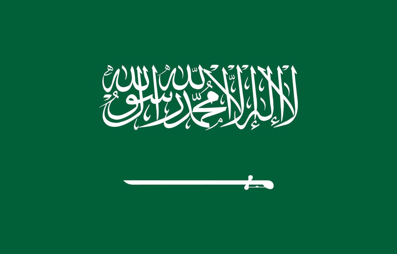 nacional bandeira do saudita arábia. saudita arábia bandeira. vetor