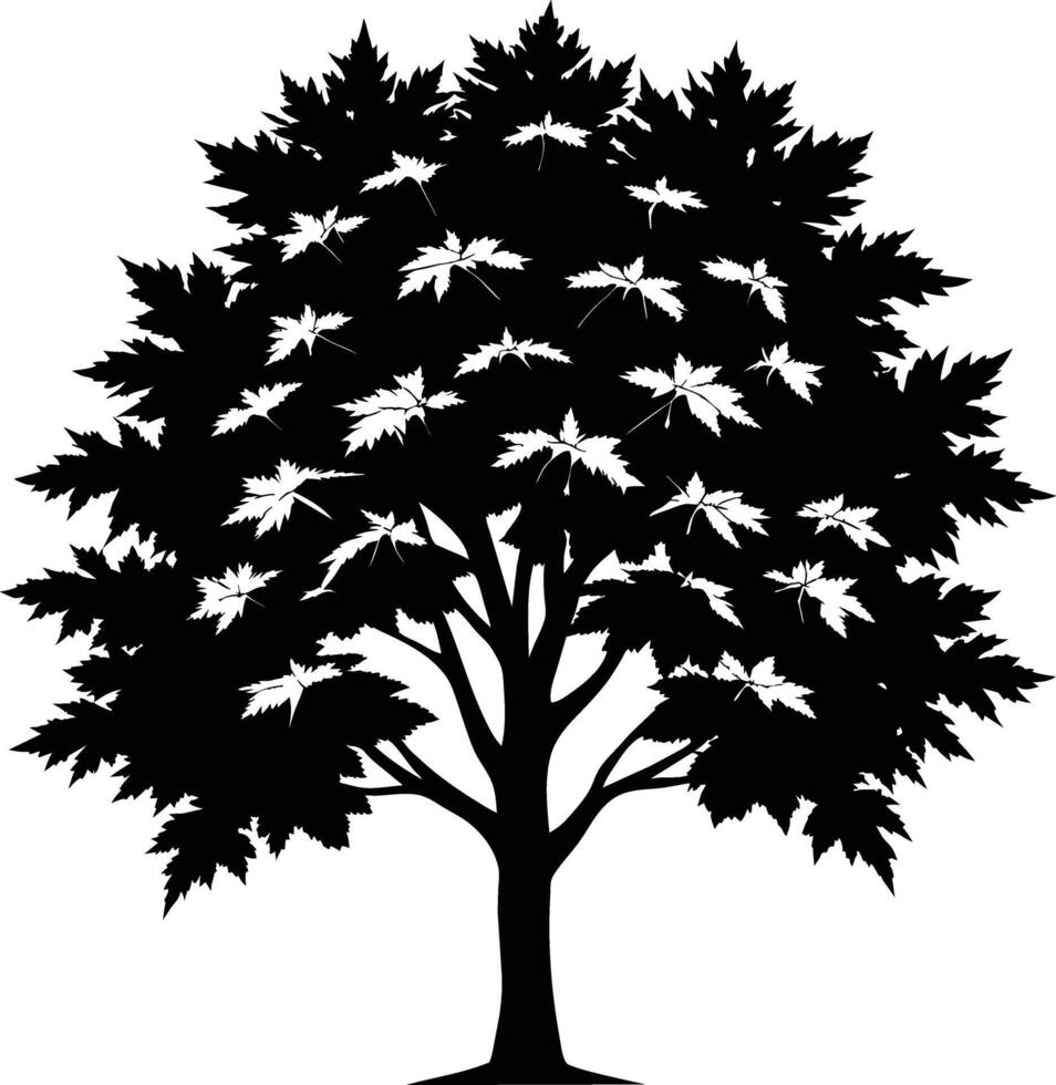 uma Preto e branco silhueta do uma bordo árvore vetor