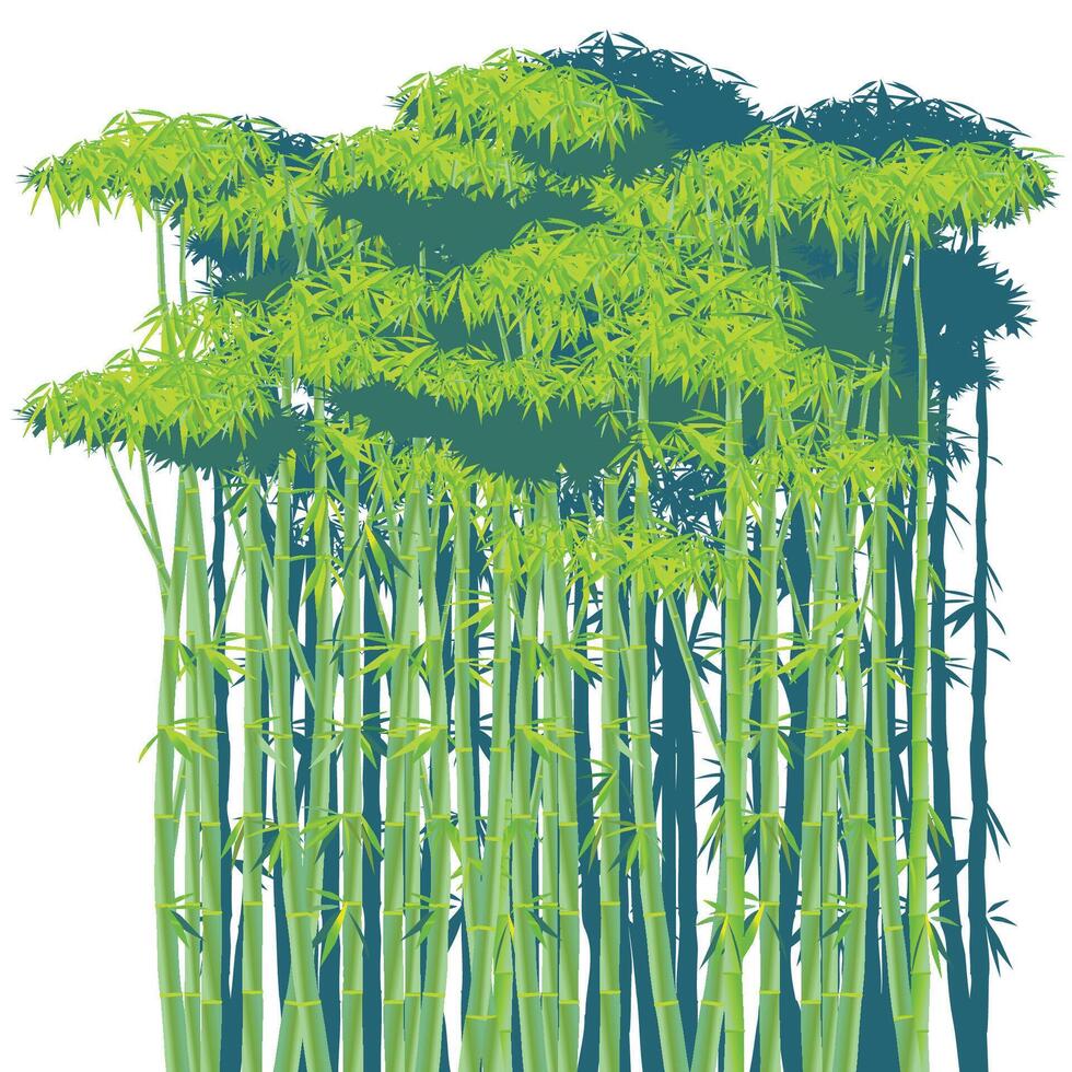 denso bambu matagais vetor