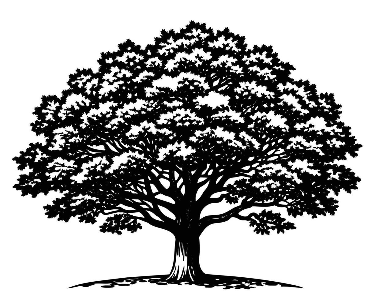 árvore e Relva silhueta vetor