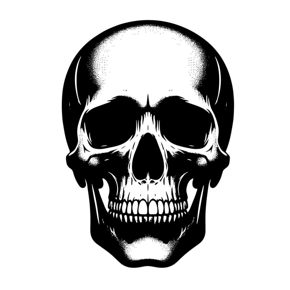 Preto e branco ilustração do uma humano crânio vetor
