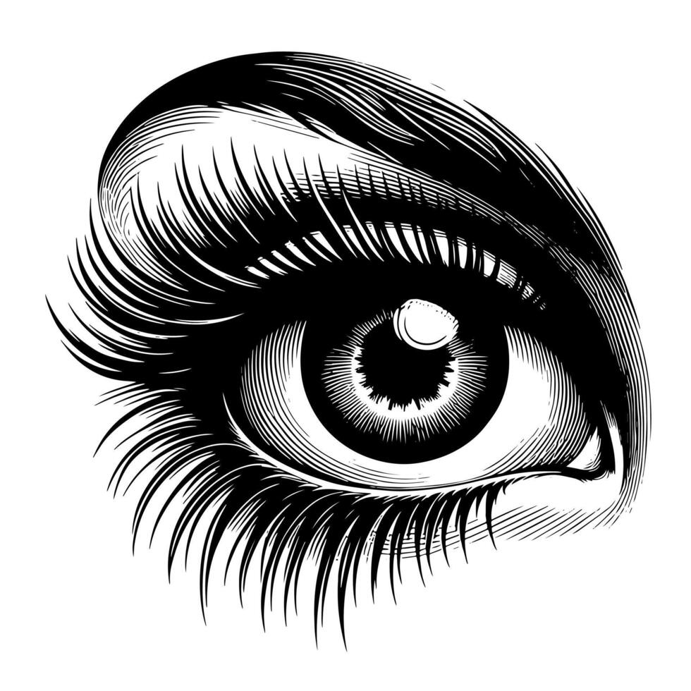 Preto e branco ilustração do a humano olho íris vetor