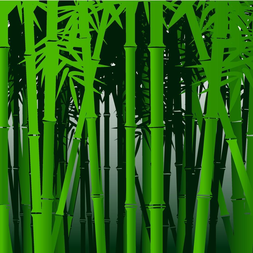 bambu verde decorativo vetor