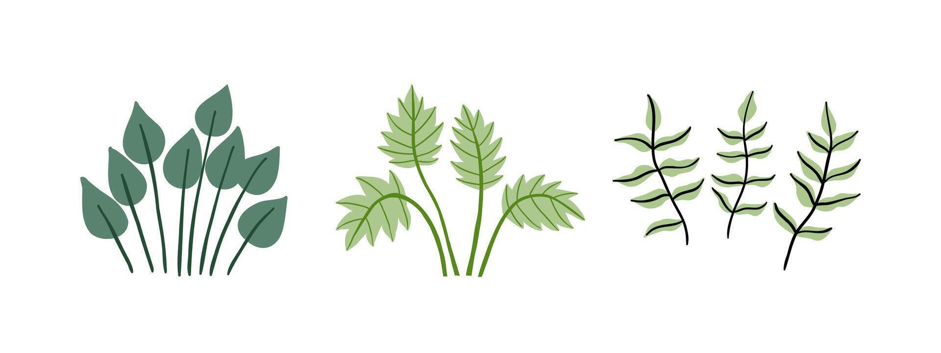 conjunto do rabisco tropical plantas do diferente formas. selva, floresta, natureza. mão desenhado ilustração dentro plano estilo. vetor