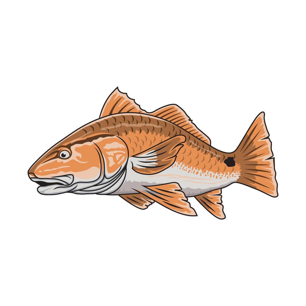 peixe vermelho pescaria ilustração logotipo vetor