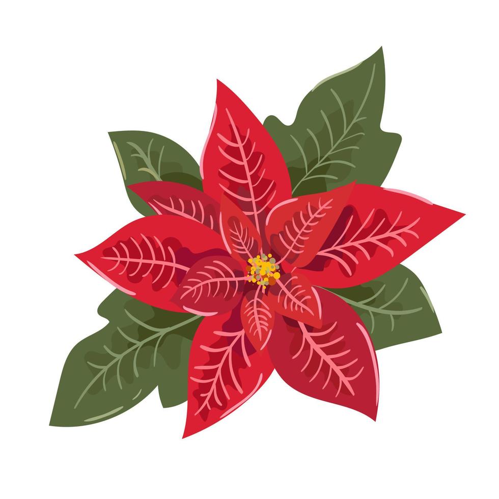 flor de estrela de natal de poinsétia. ícone para web e aplicativos móveis.  ilustração vetorial isolada no fundo branco. estilo de design 4395825 Vetor  no Vecteezy