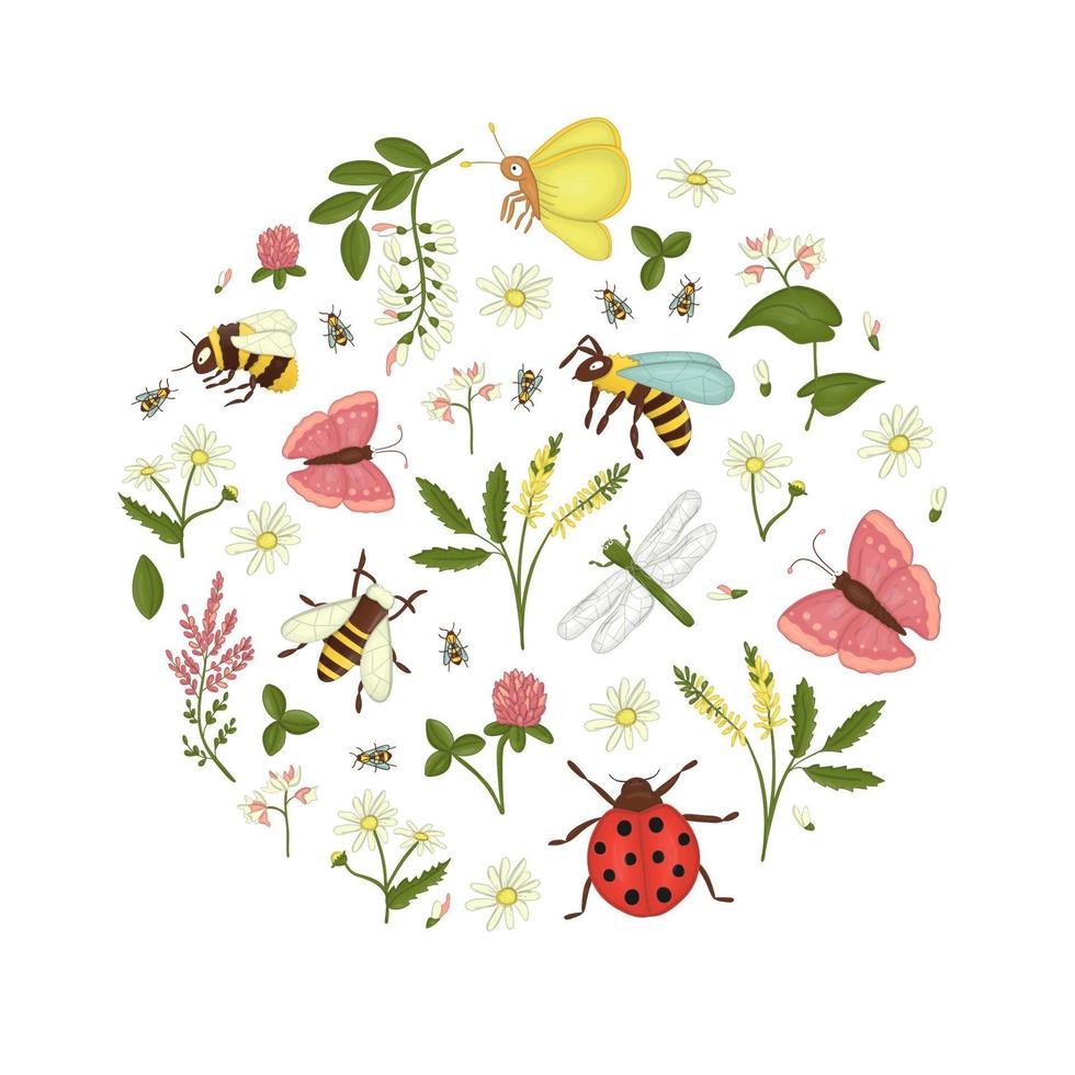 conjunto de vetores de flores silvestres, abelha, abelha, libélula, joaninha, mariposa, borboleta emoldurada em círculo. Prado bonito coleção ou insetos do campo, acácia, urze, camomila, trigo sarraceno, trevo, melilot