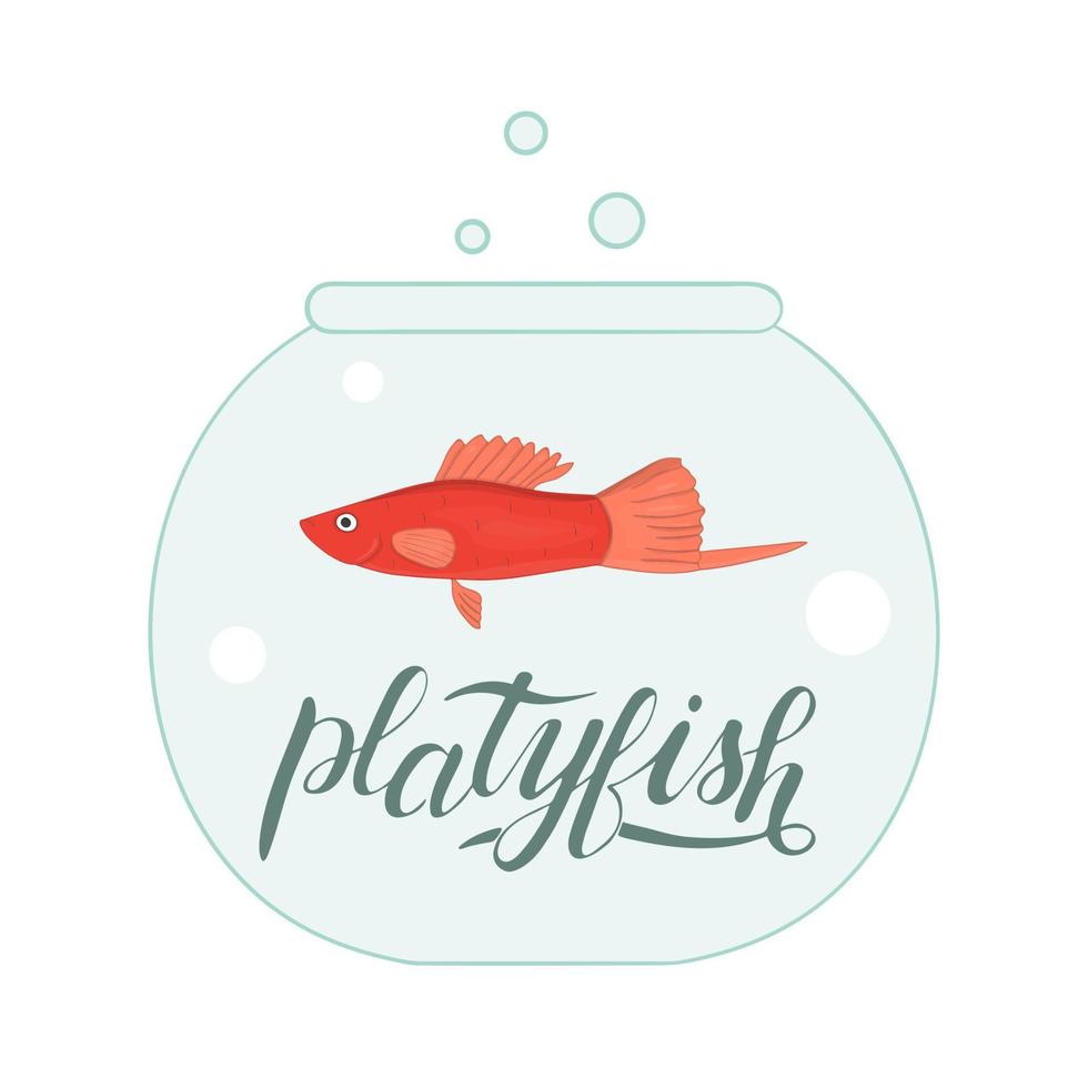 ilustração colorida do vetor de peixes no aquário com letras do nome dos peixes. foto fofa de platyfish para pet shops ou ilustração infantil