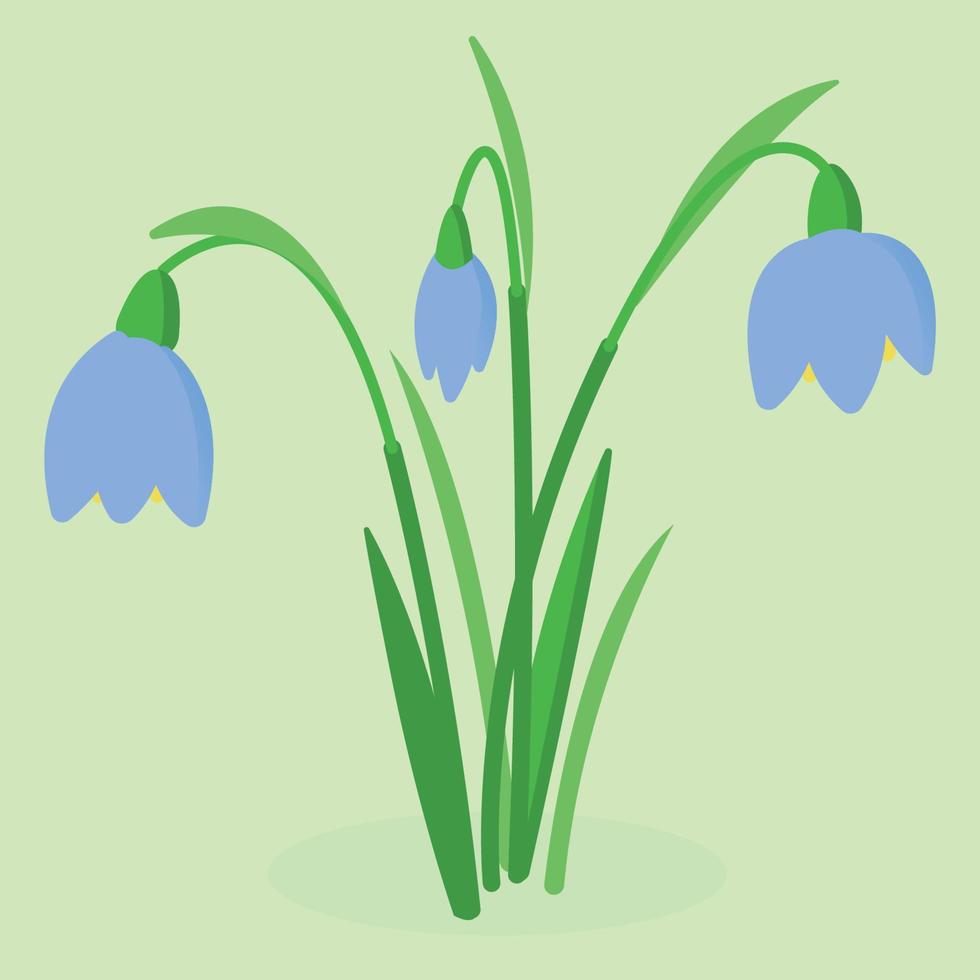 snowdrops azuis. flores da primavera. arautos da primavera. flores para o dia das mães. ilustração vetorial plana vetor
