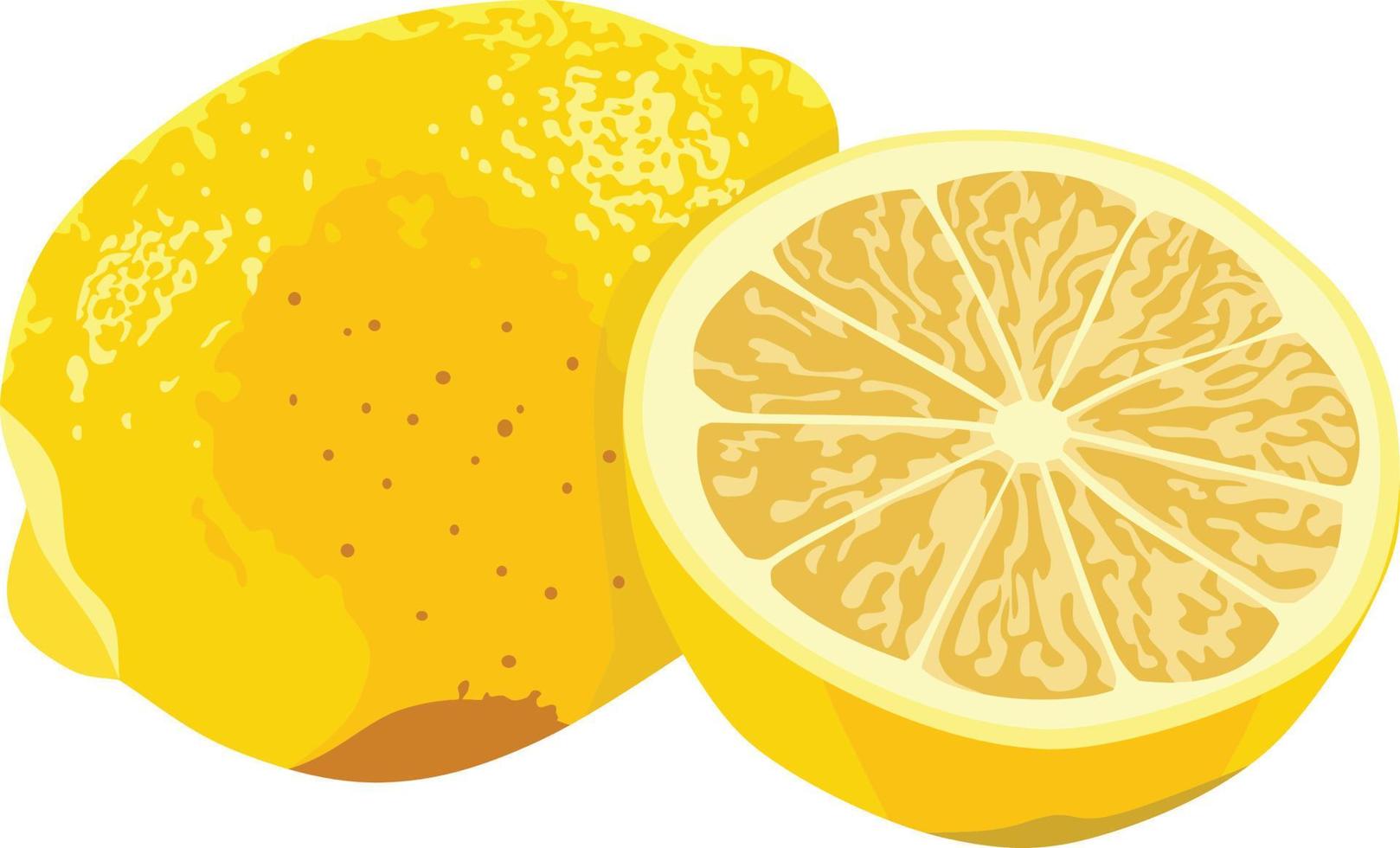 ilustração em vetor limão fruta