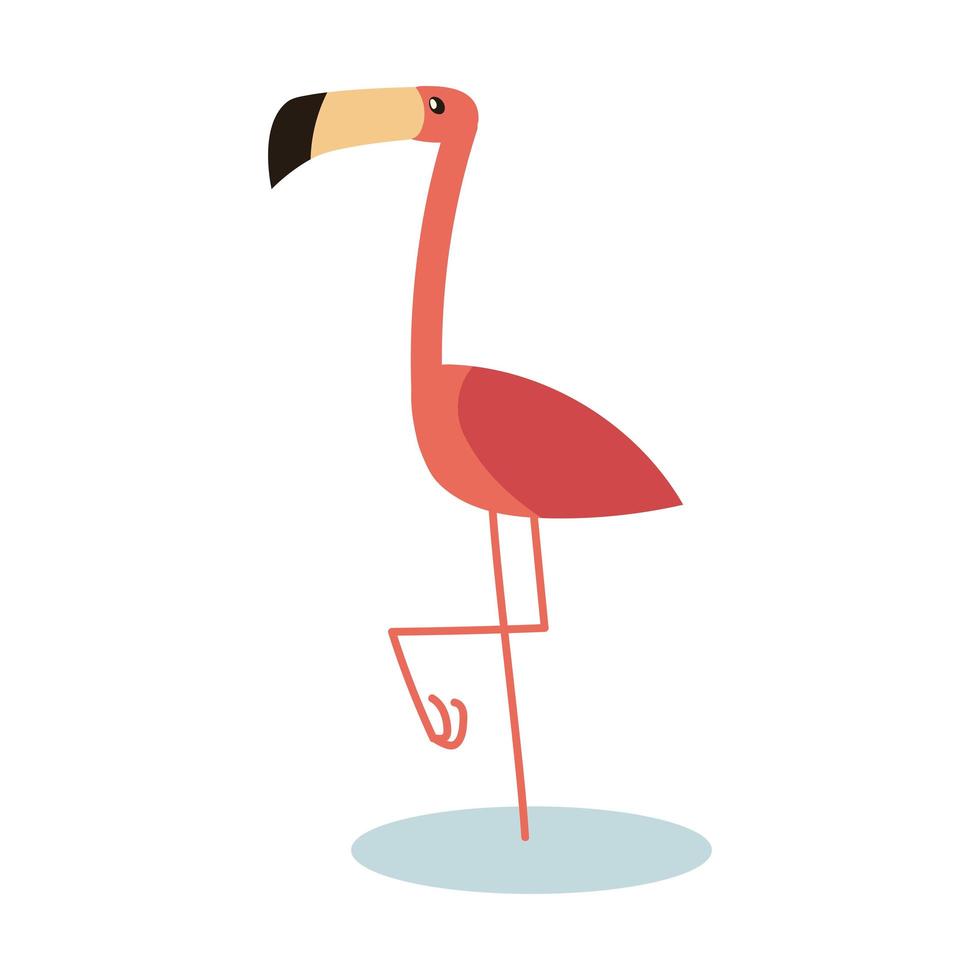pássaro flamingo tropical vetor