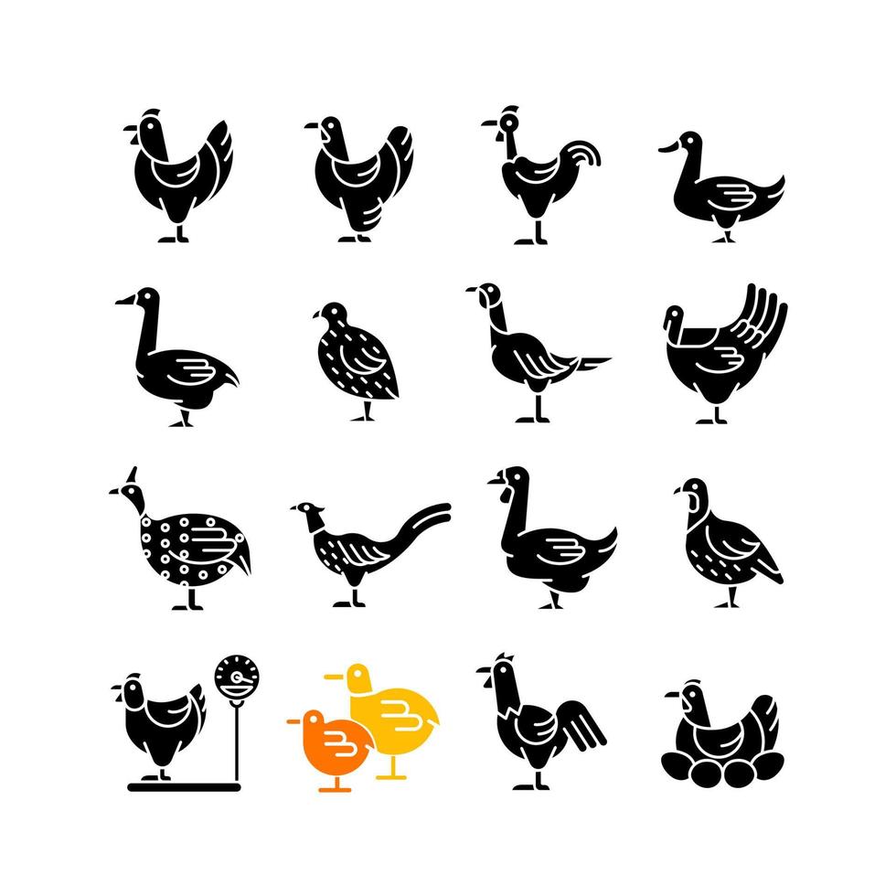 aves de fazenda para ícones de glifo preto de aves domésticas definidas no espaço em branco. pássaros domésticos. criação de patos e gansos. criação comercial de aves para carne e ovos. símbolos de silhueta. ilustração isolada do vetor