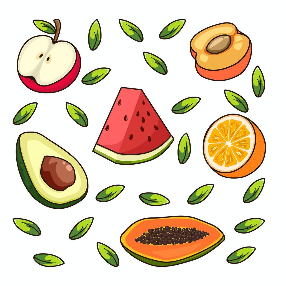 ilustração vetorial de frutas vetor