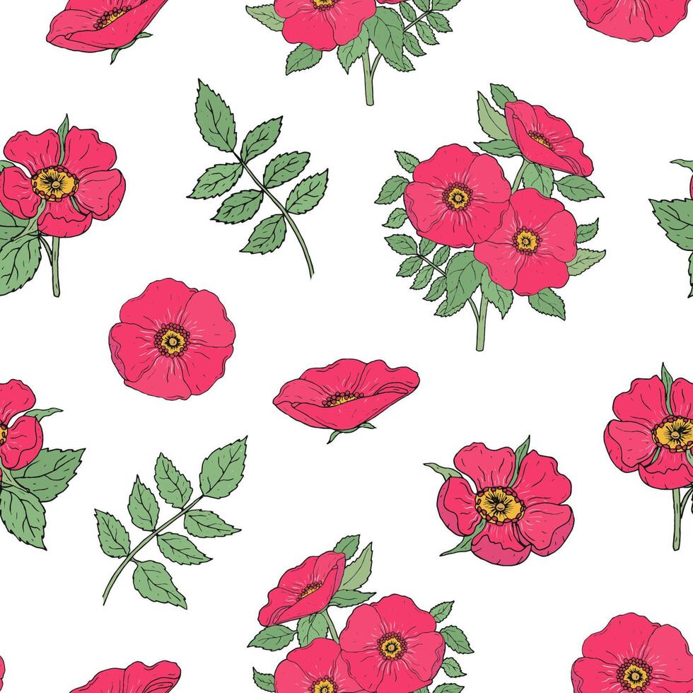 botânico desatado padronizar com Rosa cachorro rosa flores, hastes e folhas mão desenhado dentro Antiguidade estilo em branco fundo. natural ilustração para invólucro papel, têxtil imprimir, papel de parede. vetor