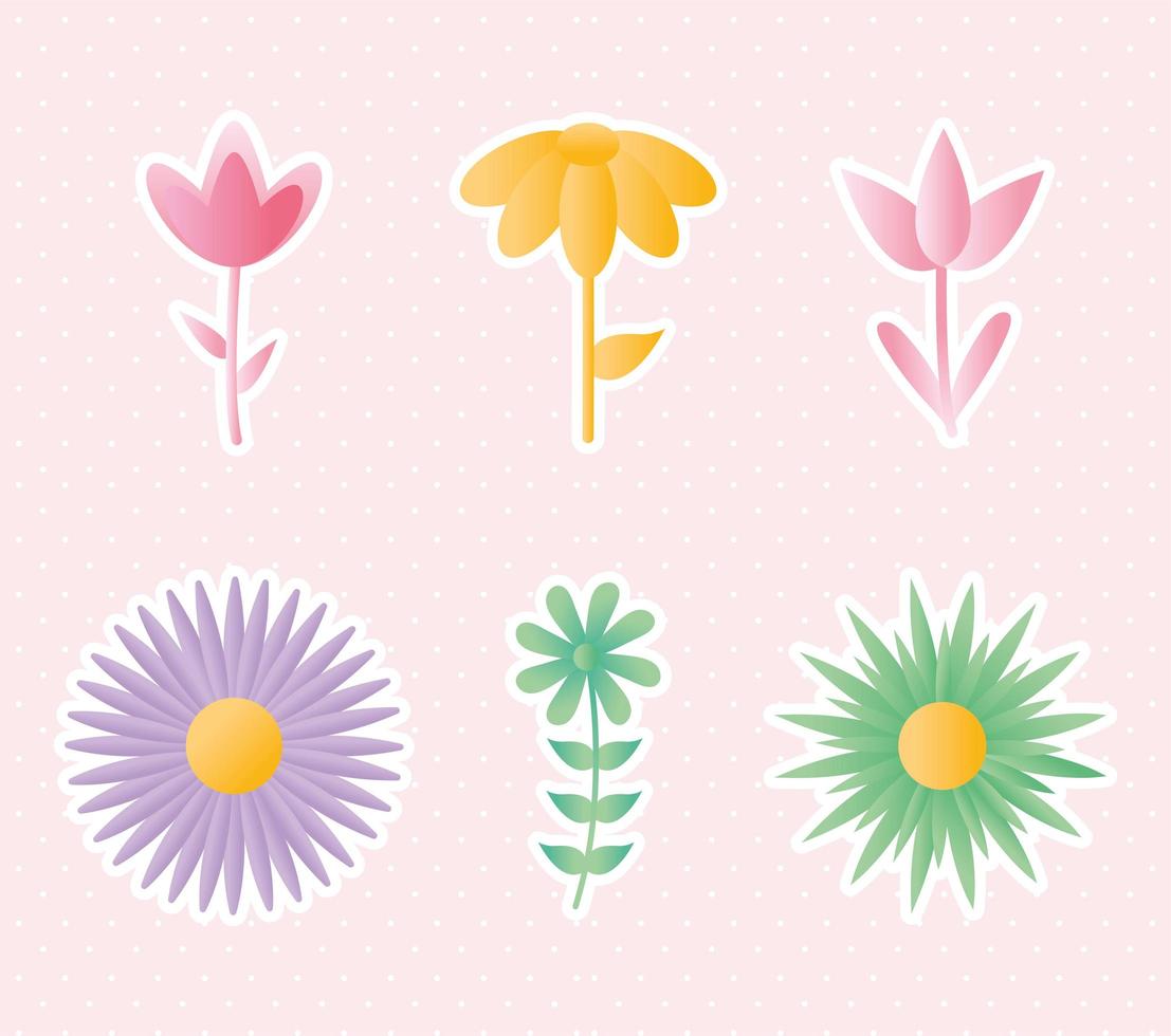conjunto de ícones de flores em um fundo rosa vetor