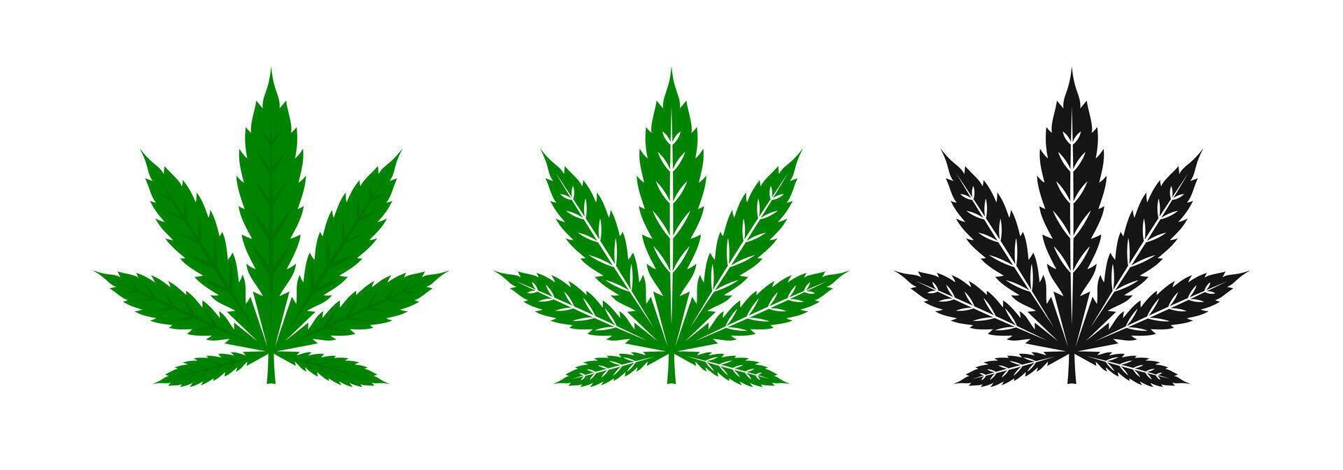 maconha, maconha, erva daninha folhas. maconha cânhamo. cannabis folha ícones. cannabis ícones. vetor