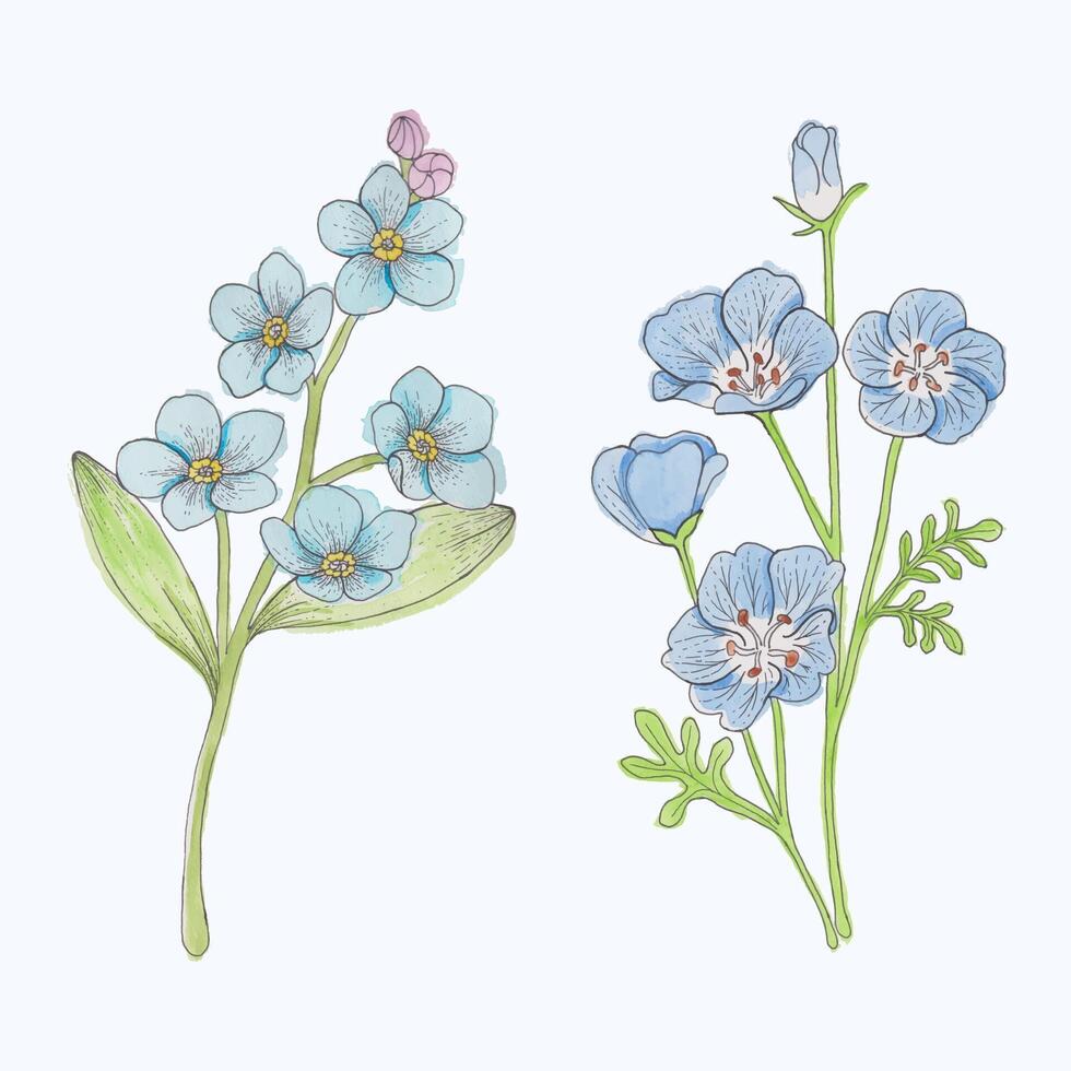 desenhado à mão florescendo flor - Primavera flor ilustração vetor