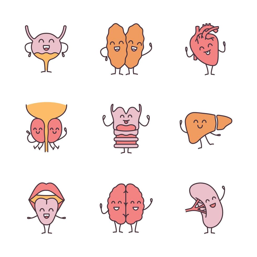 sorrindo conjunto de ícones de cores de personagens de órgãos internos humanos. sistemas cardiovasculares, urinários, imunitários, reprodutivos, digestivos, respiratórios, nervosos, linfáticos saudáveis. ilustrações vetoriais isoladas vetor