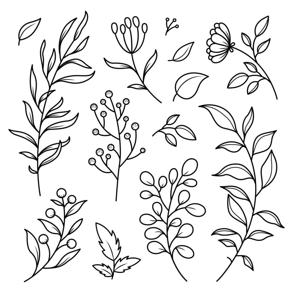 conjunto de folha botânica doodle ilustração vetorial desenhada à mão vetor