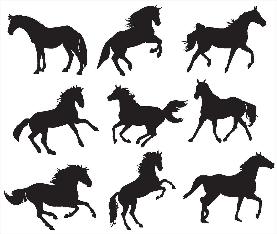 conjunto do silhuetas do cavalos dentro vários poses. vai, corre, tocam, saltos vetor