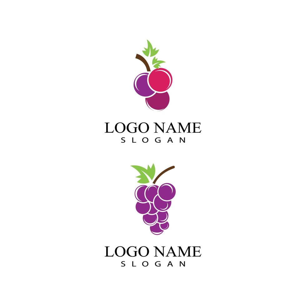 uvas logotipo modelo vetor ícone ilustração design