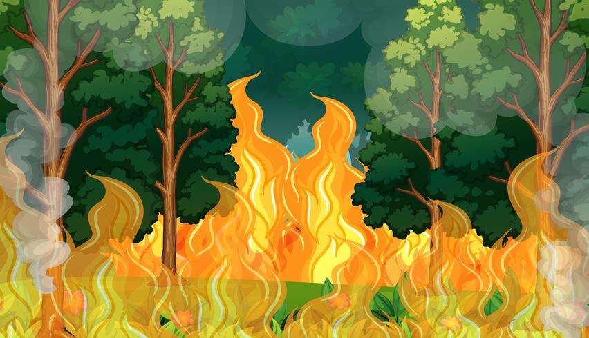 Um desastre de incêndio florestal vetor