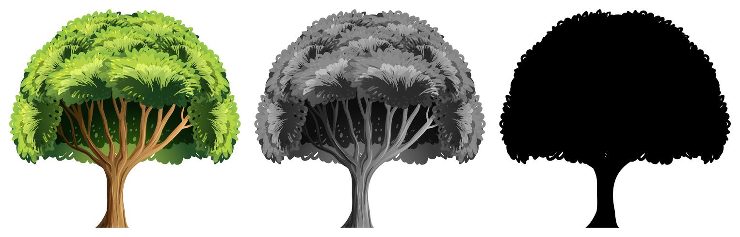 Conjunto de grande design de árvore vetor