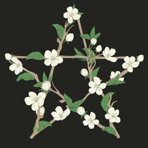 Sinal do pentagram feito com filiais de uma árvore de florescência. Flor branca botânica tirada mão no fundo preto. vetor